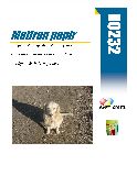 R0232 250 LISTOV MATTE WHITE 10X15 
